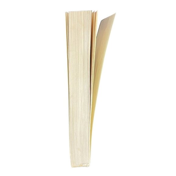 The Reader Bernhard Schlink Postwar Germany Love and Secrets Historical Fiction - Picture 4 of 6